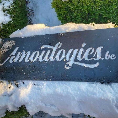 Villa Amoulogies Amougies Экстерьер фото